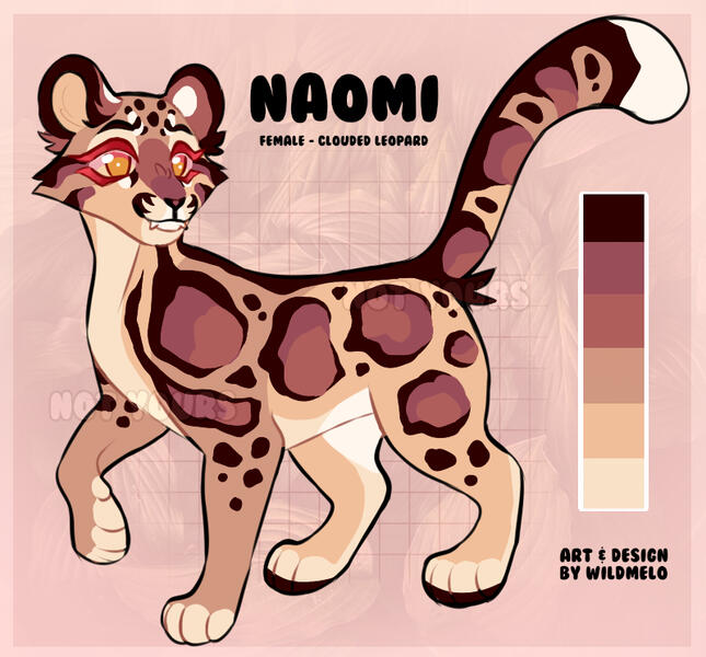 Custom Size Custom Size